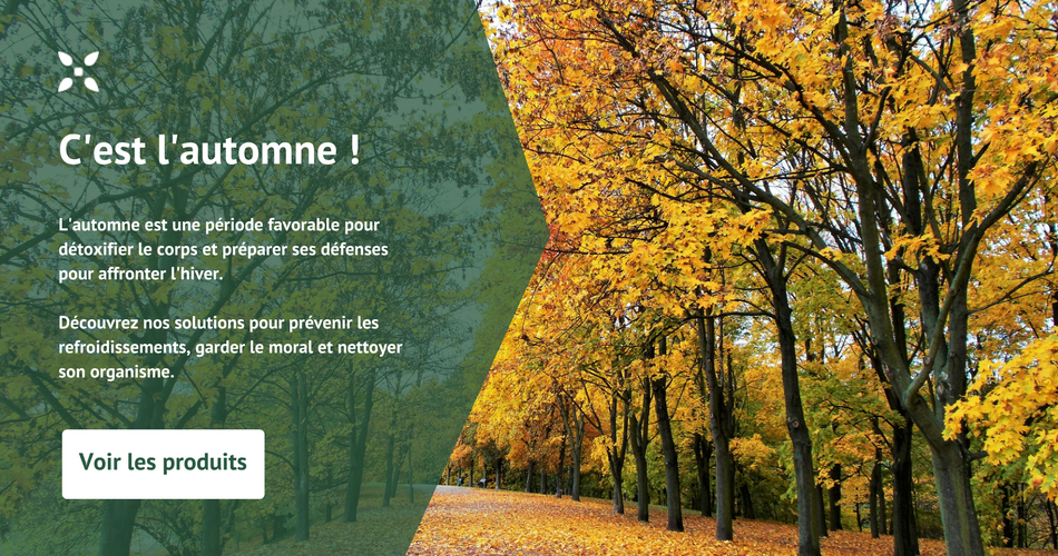 C'est l'automne